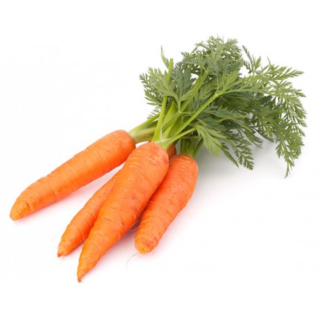 Zanahoria Hoja (Manojo)