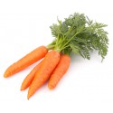 Zanahoria Hoja (Manojo)