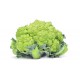 Brócoli Verde (Unidades)